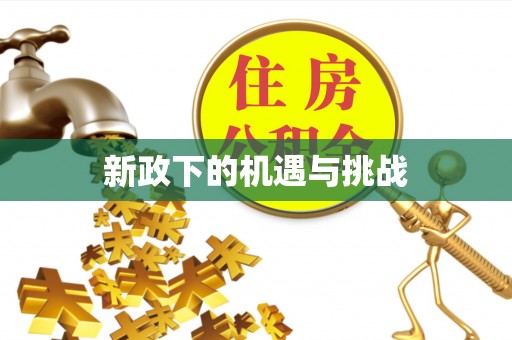 市中区新政下的机遇与挑战