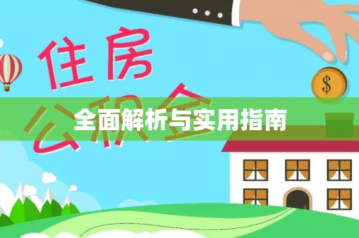 市中区全面解析与实用指南
