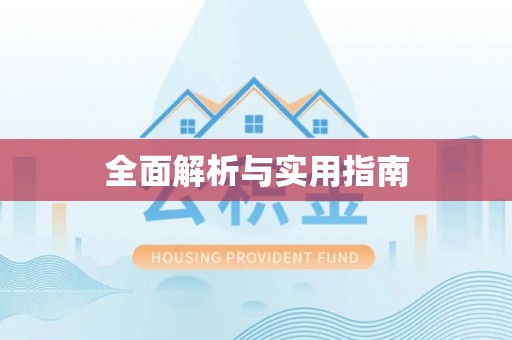市中区全面解析与实用指南