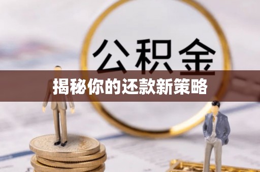 市中区揭秘你的还款新策略
