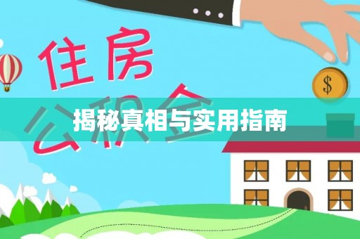 市中区揭秘真相与实用指南