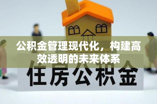 市中区公积金管理现代化，构建高效透明的未来体系