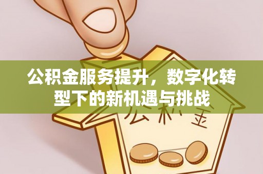 市中区公积金服务提升，数字化转型下的新机遇与挑战