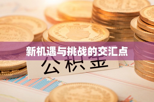 市中区新机遇与挑战的交汇点