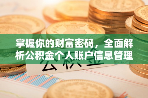 市中区掌握你的财富密码，全面解析公积金个人账户信息管理与优化
