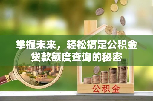市中区掌握未来，轻松搞定公积金贷款额度查询的秘密