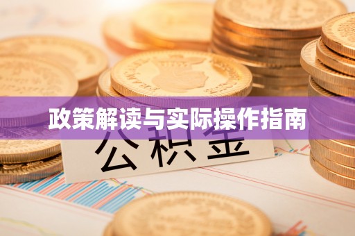 市中区政策解读与实际操作指南