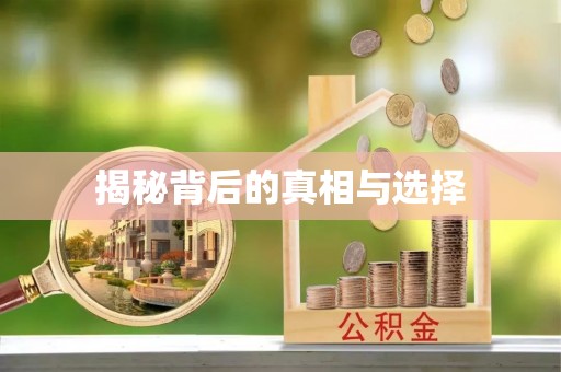 市中区揭秘背后的真相与选择