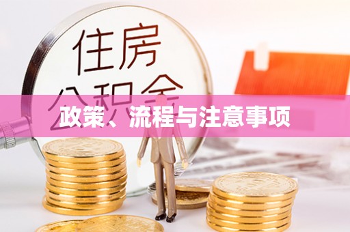 市中区政策、流程与注意事项