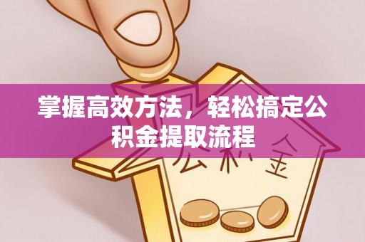 市中区掌握高效方法，轻松搞定公积金提取流程