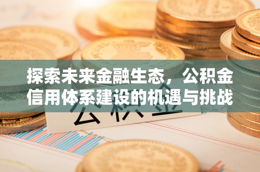 市中区探索未来金融生态，公积金信用体系建设的机遇与挑战