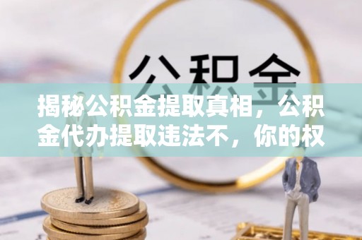 市中区揭秘公积金提取真相，公积金代办提取违法不，你的权益如何保障？