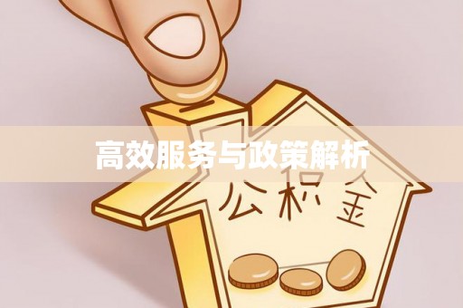 市中区高效服务与政策解析