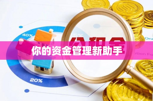 市中区你的资金管理新助手