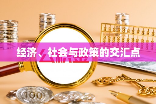 市中区经济、社会与政策的交汇点