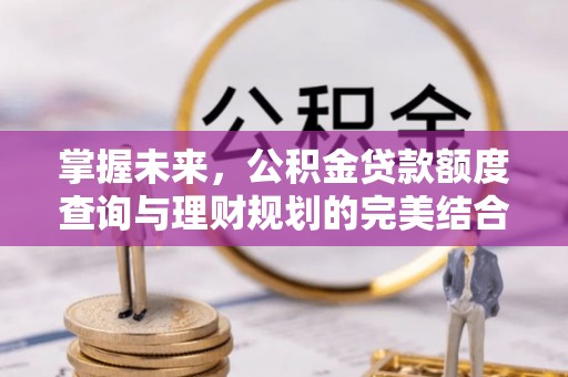 市中区掌握未来，公积金贷款额度查询与理财规划的完美结合