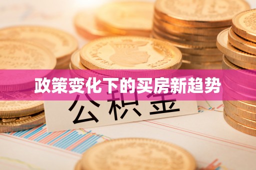 市中区政策变化下的买房新趋势