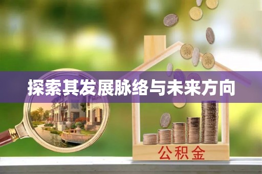 市中区探索其发展脉络与未来方向