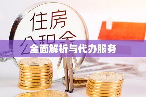 市中区全面解析与代办服务