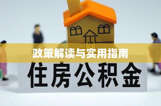 市中区政策解读与实用指南