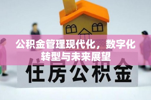 市中区公积金管理现代化，数字化转型与未来展望