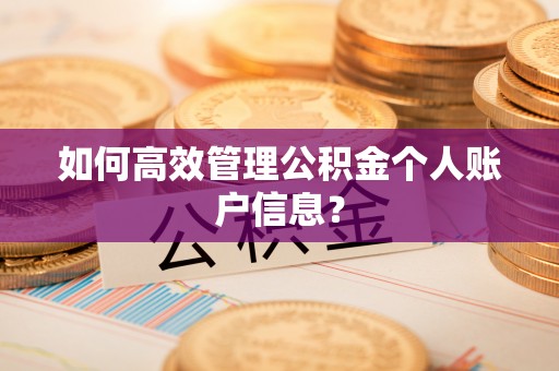 市中区如何高效管理公积金个人账户信息？