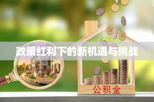 市中区政策红利下的新机遇与挑战