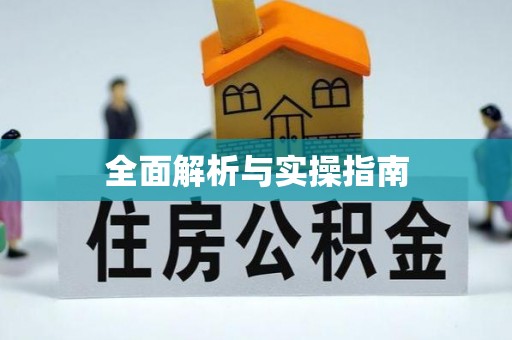 市中区全面解析与实操指南