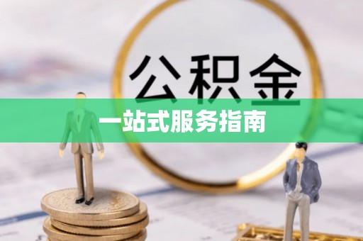 市中区一站式服务指南