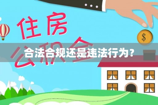 市中区合法合规还是违法行为？