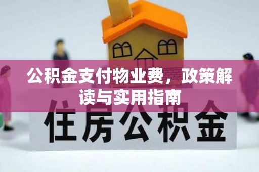 市中区公积金支付物业费，政策解读与实用指南