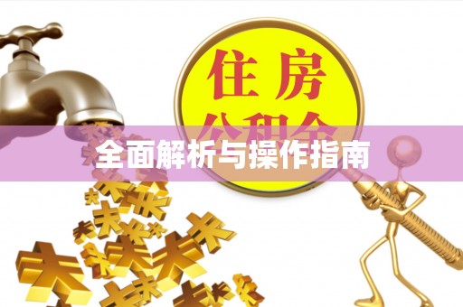 市中区全面解析与操作指南