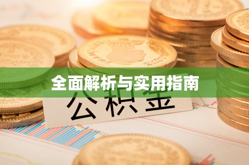 市中区全面解析与实用指南