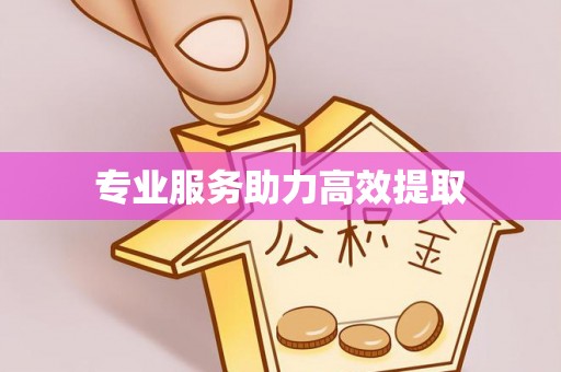 市中区专业服务助力高效提取