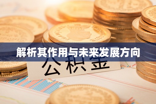 市中区解析其作用与未来发展方向