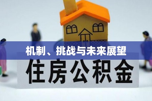市中区机制、挑战与未来展望