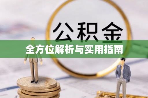 市中区全方位解析与实用指南