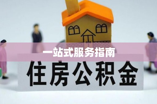 市中区一站式服务指南