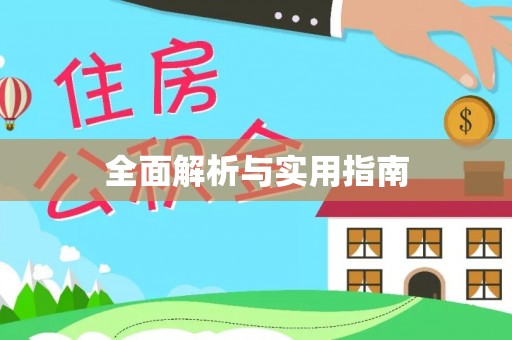 市中区全面解析与实用指南