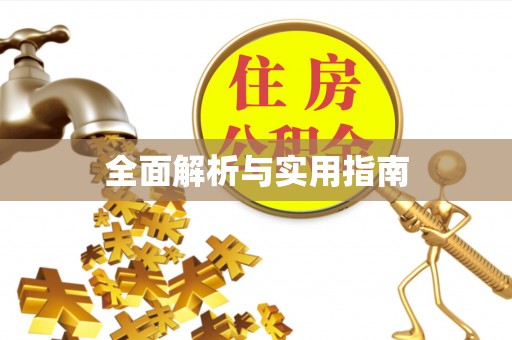 市中区全面解析与实用指南