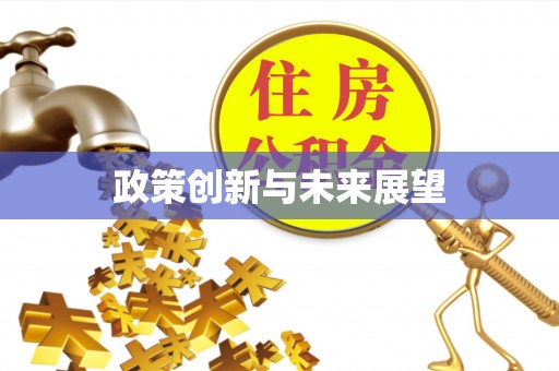 市中区政策创新与未来展望