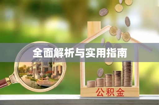 市中区全面解析与实用指南