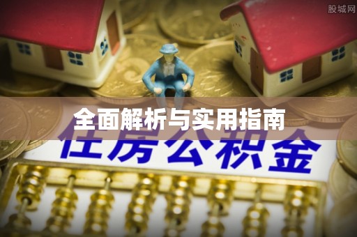 市中区全面解析与实用指南