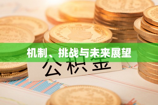 市中区机制、挑战与未来展望